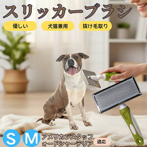 �y5�{�|�C���g�z�A�����J���E�X�^�b�t�H�[�h�V���[�E�e���A �y�b�g�u���V �X���b�J�[�u���V ���L���p �����ю�� �ыʎ�� ��[���` �Z�� ���ёΉ� �L�p ���p ���^�� ���^�� �ې�OK �O��