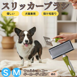 �y5�{�|�C���g�z�E�F���V���E�R�[�M�[�E�J�[�f�B�K�� �y�b�g�u���V �X���b�J�[�u���V ���L���p �����ю�� �ыʎ�� ��[���` �Z�� ���ёΉ� �L�p ���p ���^�� ���^�� �ې�OK �O���[�~��