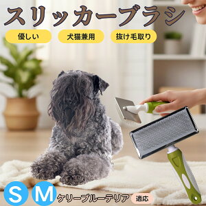 �y5�{�|�C���g�z�P���[�u���[�E�e���A �y�b�g�u���V �X���b�J�[�u���V ���L���p �����ю�� �ыʎ�� ��[���` �Z�� ���ёΉ� �L�p ���p ���^�� ���^�� �ې�OK �O���[�~���O �}�b�T�[�W�u