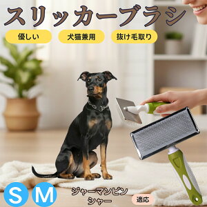 �y5�{�|�C���g�z�W���[�}���E�s���V���[ �y�b�g�u���V �X���b�J�[�u���V ���L���p �����ю�� �ыʎ�� ��[���` �Z�� ���ёΉ� �L�p ���p ���^�� ���^�� �ې�OK �O���[�~���O �}�b�T�[�W