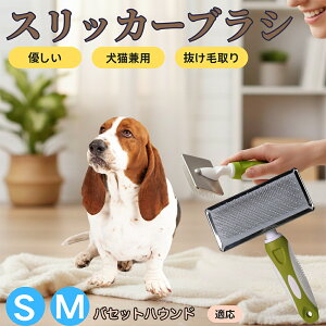 �y5�{�|�C���g�z�o�Z�b�g�E�n�E���h �y�b�g�u���V �X���b�J�[�u���V ���L���p �����ю�� �ыʎ�� ��[���` �Z�� ���ёΉ� �L�p ���p ���^�� ���^�� �ې�OK �O���[�~���O �}�b�T�[�W�u��