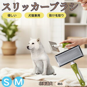 �y5�{�|�C���g�z�k�C�����iHokkaido Inu�j �y�b�g�u���V �X���b�J�[�u���V ���L���p �����ю�� �ыʎ�� ��[���` �Z�� ���ёΉ� �L�p ���p ���^�� ���^�� �ې�OK �O���[�~���O �}�b�T�[�W�u