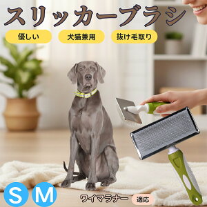 �y5�{�|�C���g�z���C�}���i�[�iWeimaraner�j �y�b�g�u���V �X���b�J�[�u���V ���L���p �����ю�� �ыʎ�� ��[���` �Z�� ���ёΉ� �L�p ���p ���^�� ���^�� �ې�OK �O���[�~���O �}�b�T�[�W