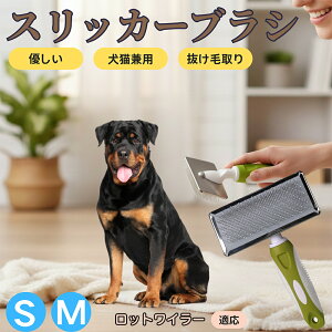 �y5�{�|�C���g�z���b�g���C���[�iRottweiler�j �y�b�g�u���V �X���b�J�[�u���V ���L���p �����ю�� �ыʎ�� ��[���` �Z�� ���ёΉ� �L�p ���p ���^�� ���^�� �ې�OK �O���[�~���O �}�b�T�[