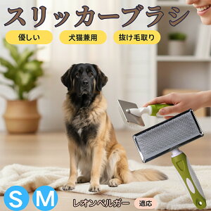 IxK[iLeonbergerj ybguV XbJ[uV Lp ю ыʎ [` Z ёΉ Lp p ^ ^ ېOK O[~O }bT[WuV