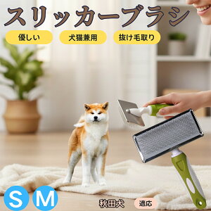 �y5�{�|�C���g�z�H�c���iAkita Inu�j �y�b�g�u���V �X���b�J�[�u���V ���L���p �����ю�� �ыʎ�� ��[���` �Z�� ���ёΉ� �L�p ���p ���^�� ���^�� �ې�OK �O���[�~���O �}�b�T�[�W�u���V