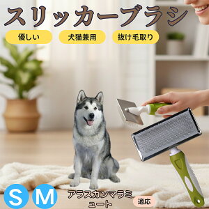 �y5�{�|�C���g�z�A���X�J���E�}���~���[�g �y�b�g�u���V �X���b�J�[�u���V ���L���p �����ю�� �ыʎ�� ��[���` �Z�� ���ёΉ� �L�p ���p ���^�� ���^�� �ې�OK �O���[�~���O �}�b�T�[