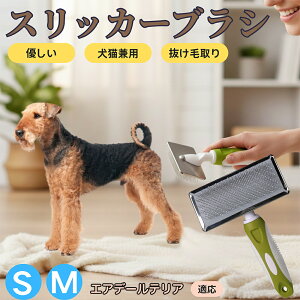 �y5�{�|�C���g�z�G�A�f�[���E�e���A�iAiredale Terrier�j �y�b�g�u���V �X���b�J�[�u���V ���L���p �����ю�� �ыʎ�� ��[���` �Z�� ���ёΉ� �L�p ���p ���^�� ���^�� �ې�OK �O���[�~���O 