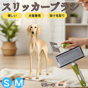 �y5�{�|�C���g�z�T���[�L�iSaluki�j �y�b�g�u���V �X���b�J�[�u���V ���L���p �����ю�� �ыʎ�� ��[���` �Z�� ���ёΉ� �L�p ���p ���^�� ���^�� �ې�OK �O���[�~���O �}�b�T�[�W�u���V