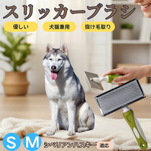 �y5�{�|�C���g�z�V�x���A���E�n�X�L�[�iSiberian Husky�j �y�b�g�u���V �X���b�J�[�u���V ���L���p �����ю�� �ыʎ�� ��[���` �Z�� ���ёΉ� �L�p ���p ���^�� ���^�� �ې�OK �O���[�~���O