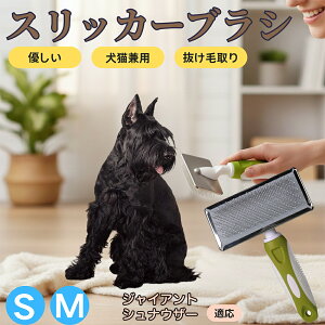 �y5�{�|�C���g�z�W���C�A���g�E�V���i�E�U�[ �y�b�g�u���V �X���b�J�[�u���V ���L���p �����ю�� �ыʎ�� ��[���` �Z�� ���ёΉ� �L�p ���p ���^�� ���^�� �ې�OK �O���[�~���O �}�b�T