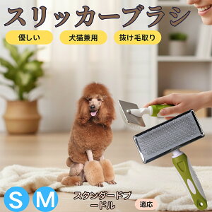 �y5�{�|�C���g�z�X�^���_�[�h�E�v�[�h���iStandard Poodle�j �y�b�g�u���V �X���b�J�[�u���V ���L���p �����ю�� �ыʎ�� ��[���` �Z�� ���ёΉ� �L�p ���p ���^�� ���^�� �ې�OK �O���[�~