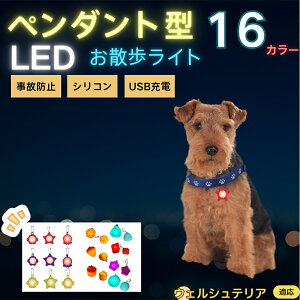 y5{|CgzEFVeAiWelsh Terrierj ybgpUCg LED `[ h y y_g  n[lX [h  L ^ ^ ^  U S΍