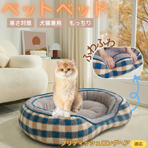 y5{|CgzueBbVOwA British Longhair ybgxbh ~p ӂӂ ۉ h 􂦂  L ^ ^ p k \t@^ ͂NbV o ObY