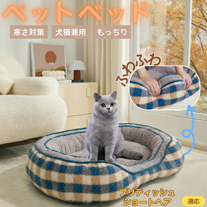 y5{|CgzueBbVV[gwA British Shorthair ybgxbh ~p ӂӂ ۉ h 􂦂  L ^ ^ p k \t@^ ͂NbV o O