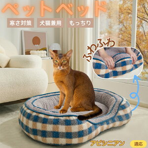 ArVjA Abyssinian ybgxbh ~p ӂӂ ۉ h 􂦂  L ^ ^ p k \t@^ ͂NbV o ObY Ή ׂ~ߕt