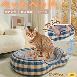 IVLbg Ocicat ybgxbh ~p ӂӂ ۉ h 􂦂  L ^ ^ p k \t@^ ͂NbV o ObY Ή ׂ~ߕt