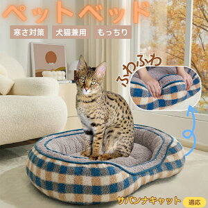 ToiLbg Savannah Cat ybgxbh ~p ӂӂ ۉ h 􂦂  L ^ ^ p k \t@^ ͂NbV o ObY Ή ׂ~ߕt