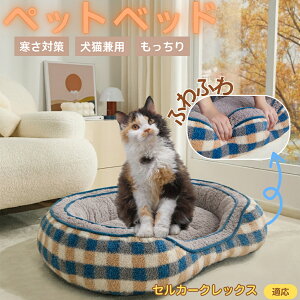 ZJ[NbNX Selkirk Rex ybgxbh ~p ӂӂ ۉ h 􂦂  L ^ ^ p k \t@^ ͂NbV o ObY Ή ׂ~