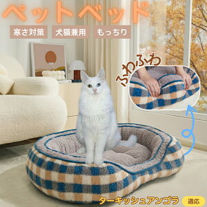 y5{|Cgz^[LbVAS Turkish Angora ybgxbh ~p ӂӂ ۉ h 􂦂  L ^ ^ p k \t@^ ͂NbV o ObY 