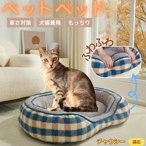 `EV[ Chausie ybgxbh ~p ӂӂ ۉ h 􂦂  L ^ ^ p k \t@^ ͂NbV o ObY Ή ׂ~ߕt