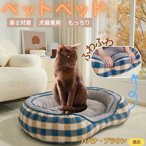 noiEuE Havana Brown ybgxbh ~p ӂӂ ۉ h 􂦂  L ^ ^ p k \t@^ ͂NbV o ObY Ή ׂ~ߕt