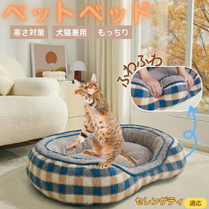 ZQeB Serengeti Cat ybgxbh ~p ӂӂ ۉ h 􂦂  L ^ ^ p k \t@^ ͂NbV o ObY Ή ׂ~ߕt