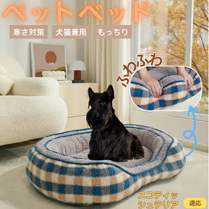 y5{|CgzXReBbVeAiScottish Terrierj ybgxbh ~p ӂӂ ۉ h 􂦂  L ^ ^ p k \t@^ ͂NbV o ObY 