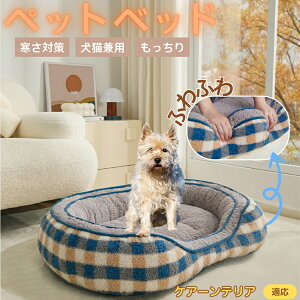 PA[eAiCairn Terrierj ybgxbh ~p ӂӂ ۉ h 􂦂  L ^ ^ p k \t@^ ͂NbV o ObY Ή ׂ~