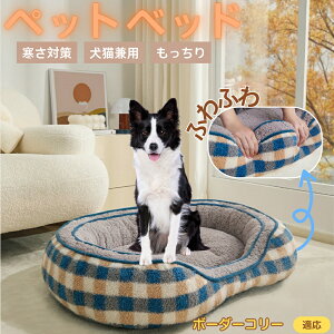 y5{|Cgz{[_[ER[iBorder Colliej ybgxbh ~p ӂӂ ۉ h 􂦂  L ^ ^ p k \t@^ ͂NbV o ObY 