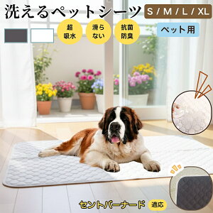 ZgEo[i[hiSaint Bernardj 􂦂 ybgV[c h }bg  L z  ~ Rh~ p ybgp}bg gCV[g Lp p ^ ^ ^ 