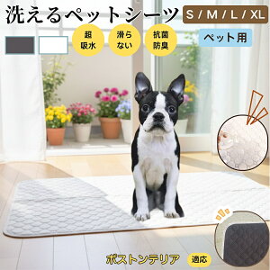 {XgeAiBoston Terrierj 􂦂 ybgV[c h }bg  L z  ~ Rh~ p ybgp}bg gCV[g Lp p ^ ^ ^ 