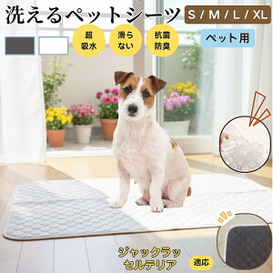 y5{|CgzWbNEbZEeA (Jack Russell Terrier) 􂦂 ybgV[c h }bg  L z  ~ Rh~ p ybgp}bg gCV[g Lp 