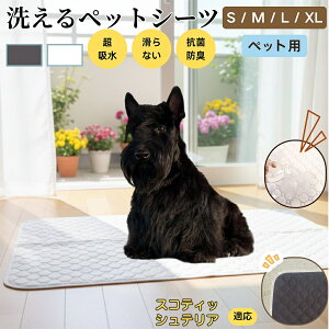 XReBbVeAiScottish Terrierj 􂦂 ybgV[c h }bg  L z  ~ Rh~ p ybgp}bg gCV[g Lp p ^ ^ ^