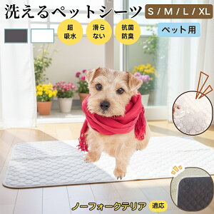 y5{|Cgzm[tH[NeAiNorfolk Terrierj 􂦂 ybgV[c h }bg  L z  ~ Rh~ p ybgp}bg gCV[g Lp p ^ 