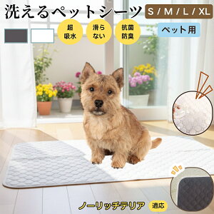 y5{|Cgzm[b`eAiNorwich Terrierj 􂦂 ybgV[c h }bg  L z  ~ Rh~ p ybgp}bg gCV[g Lp p ^ 