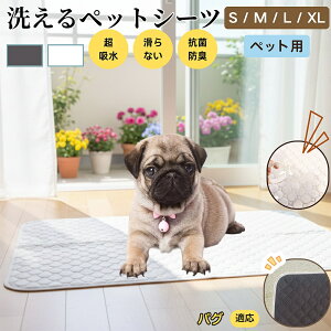 pOiPugj 􂦂 ybgV[c h }bg  L z  ~ Rh~ p ybgp}bg gCV[g Lp p ^ ^ ^ Ή ȃGlė