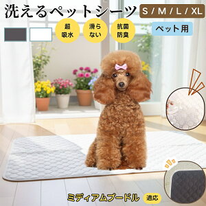 ~fBAEv[h 􂦂 ybgV[c h }bg  L z  ~ Rh~ p ybgp}bg gCV[g Lp p ^ ^ ^ Ή 