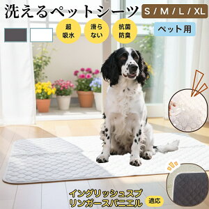 y5{|CgzCObVEXvK[EXpjG 􂦂 ybgV[c h }bg  L z  ~ Rh~ p ybgp}bg gCV[g Lp p