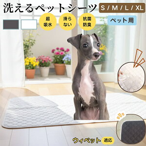 EBybgiWhippetj 􂦂 ybgV[c h }bg  L z  ~ Rh~ p ybgp}bg gCV[g Lp p ^ ^ ^ Ή 