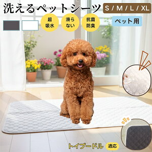 y5{|CgzgCv[hiToy Poodlej 􂦂 ybgV[c h }bg  L z  ~ Rh~ p ybgp}bg gCV[g Lp p ^ ^ 