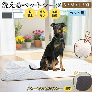 W[}EsV[ 􂦂 ybgV[c h }bg  L z  ~ Rh~ p ybgp}bg gCV[g Lp p ^ ^ ^ Ή