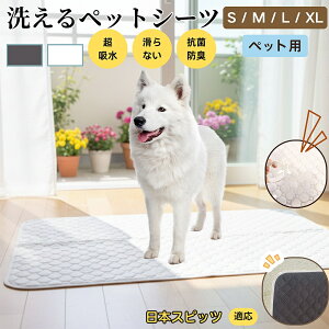 y5{|Cgz{XsbciJapanese Spitzj 􂦂 ybgV[c h }bg  L z  ~ Rh~ p ybgp}bg gCV[g Lp p ^ ^ 