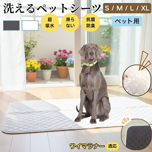 C}i[iWeimaranerj 􂦂 ybgV[c h }bg  L z  ~ Rh~ p ybgp}bg gCV[g Lp p ^ ^ ^ 