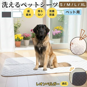 IxK[iLeonbergerj 􂦂 ybgV[c h }bg  L z  ~ Rh~ p ybgp}bg gCV[g Lp p ^ ^ ^ 