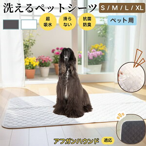 AtKEnEhiAfghan Houndj 􂦂 ybgV[c h }bg  L z  ~ Rh~ p ybgp}bg gCV[g Lp p ^ ^ ^ 