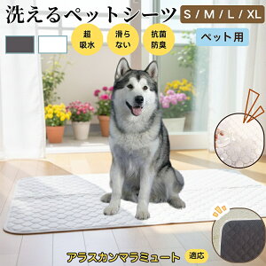 AXJE}~[g 􂦂 ybgV[c h }bg  L z  ~ Rh~ p ybgp}bg gCV[g Lp p ^ ^ ^ 