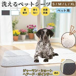 W[}EV[gwA[hE|C^[ 􂦂 ybgV[c h }bg  L z  ~ Rh~ p ybgp}bg gCV[g Lp p ^ ^ 