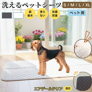 GAf[EeAiAiredale Terrierj 􂦂 ybgV[c h }bg  L z  ~ Rh~ p ybgp}bg gCV[g Lp p ^ ^ ^ 
