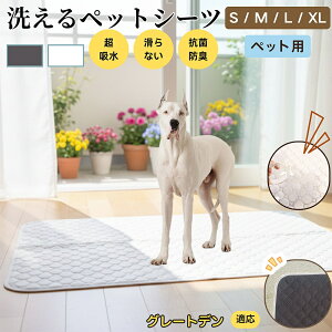 y5{|CgzO[gEf[iGreat Danej 􂦂 ybgV[c h }bg  L z  ~ Rh~ p ybgp}bg gCV[g Lp p ^ ^